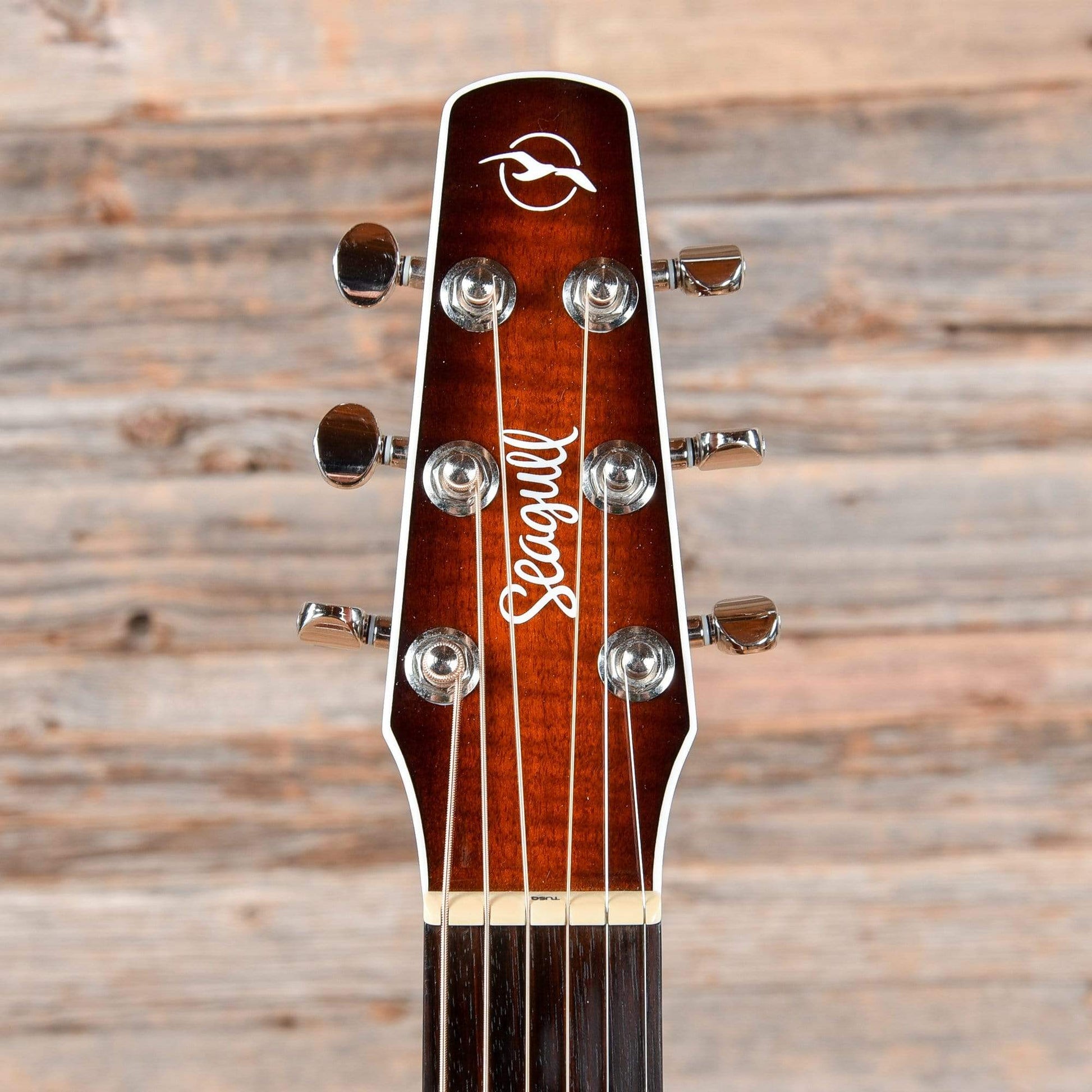 Seagull Performer Concert Hall CW QIT Burnt Umber Acoustic Guitars / Concert