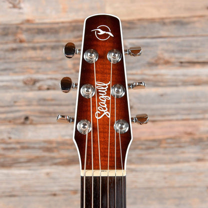 Seagull Performer Concert Hall CW QIT Burnt Umber Acoustic Guitars / Concert