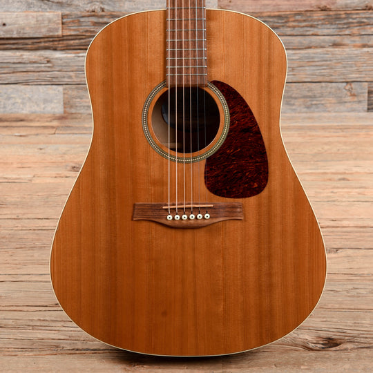 Seagull Coastline S6 Cedar GT Natural Acoustic Guitars / Dreadnought