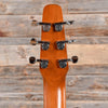 Seagull Coastline S6 Cedar GT Natural Acoustic Guitars / Dreadnought