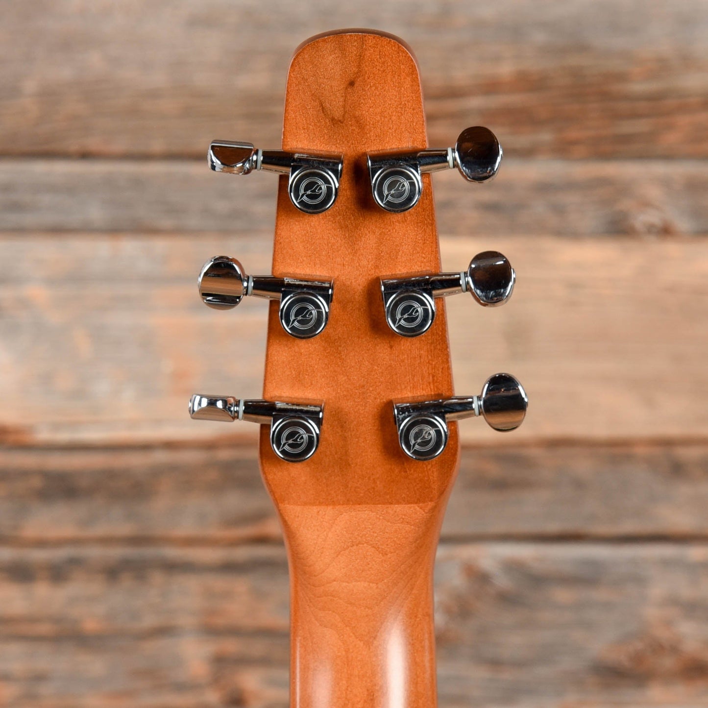 Seagull Entourage CW QI Black Acoustic Guitars / Dreadnought