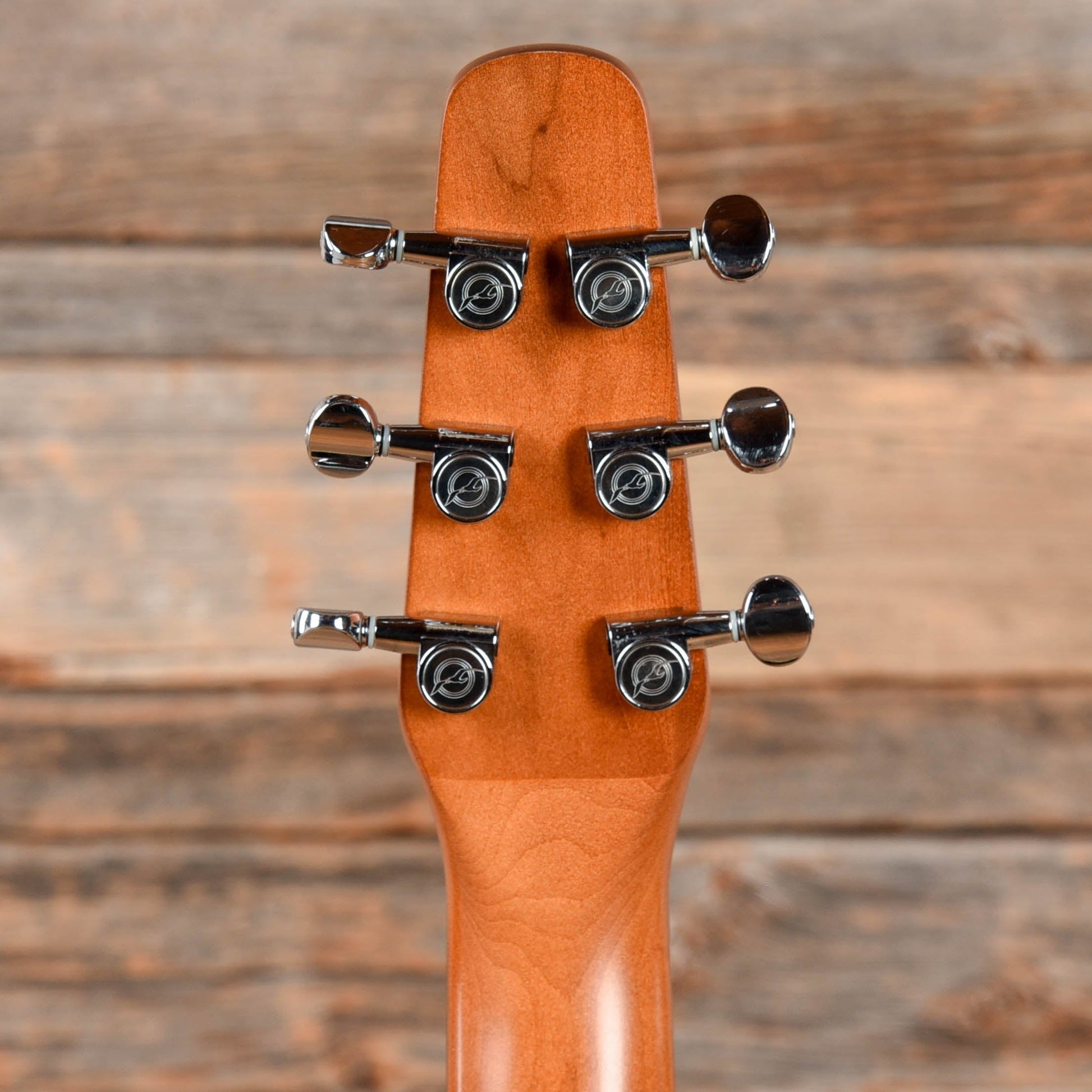 Seagull Entourage CW QI Black Acoustic Guitars / Dreadnought