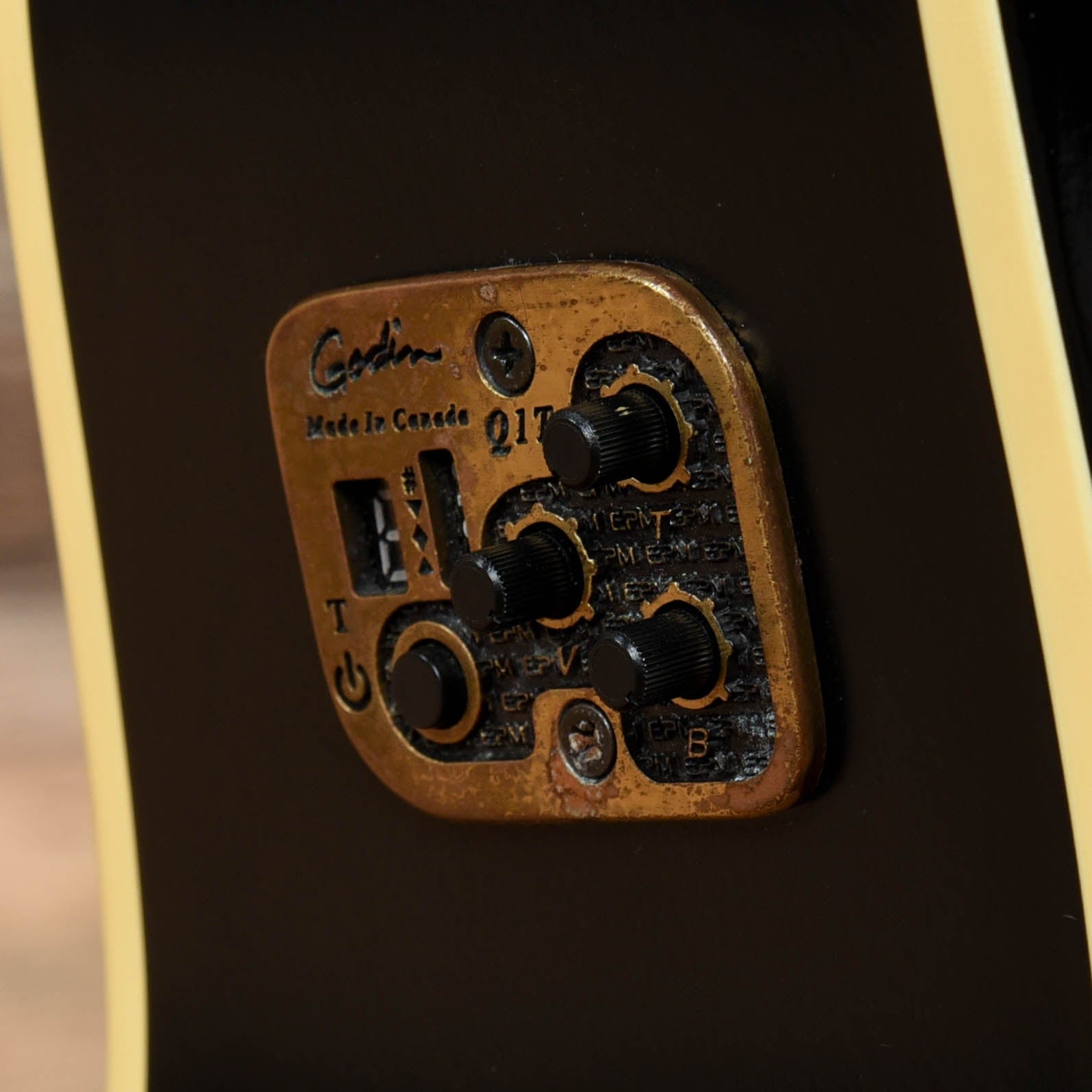 Seagull Entourage CW QI Black Acoustic Guitars / Dreadnought