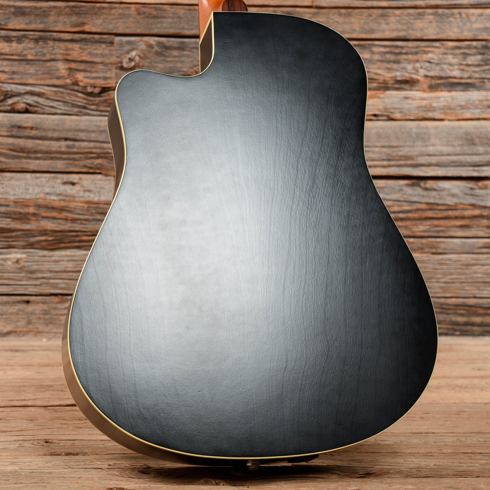 Seagull Entourage CW QI Black Acoustic Guitars / Dreadnought