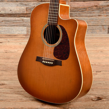 Seagull Entourage Rustic CW QIT Sunburst Acoustic Guitars / Dreadnought