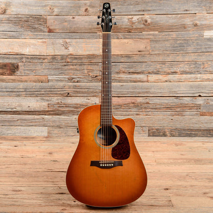 Seagull Entourage Rustic CW QIT Sunburst Acoustic Guitars / Dreadnought