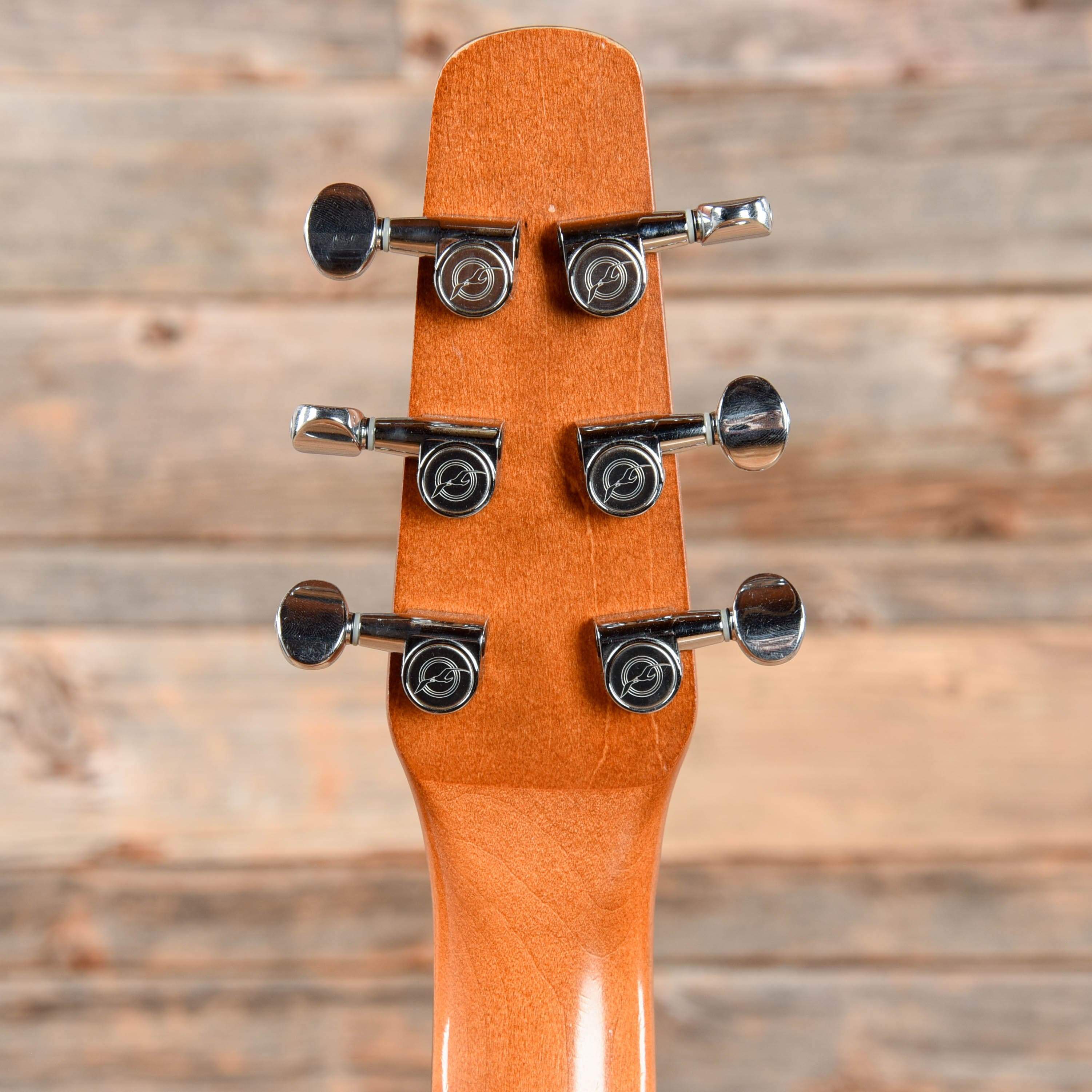 Seagull Entourage Rustic CW QIT Sunburst Acoustic Guitars / Dreadnought