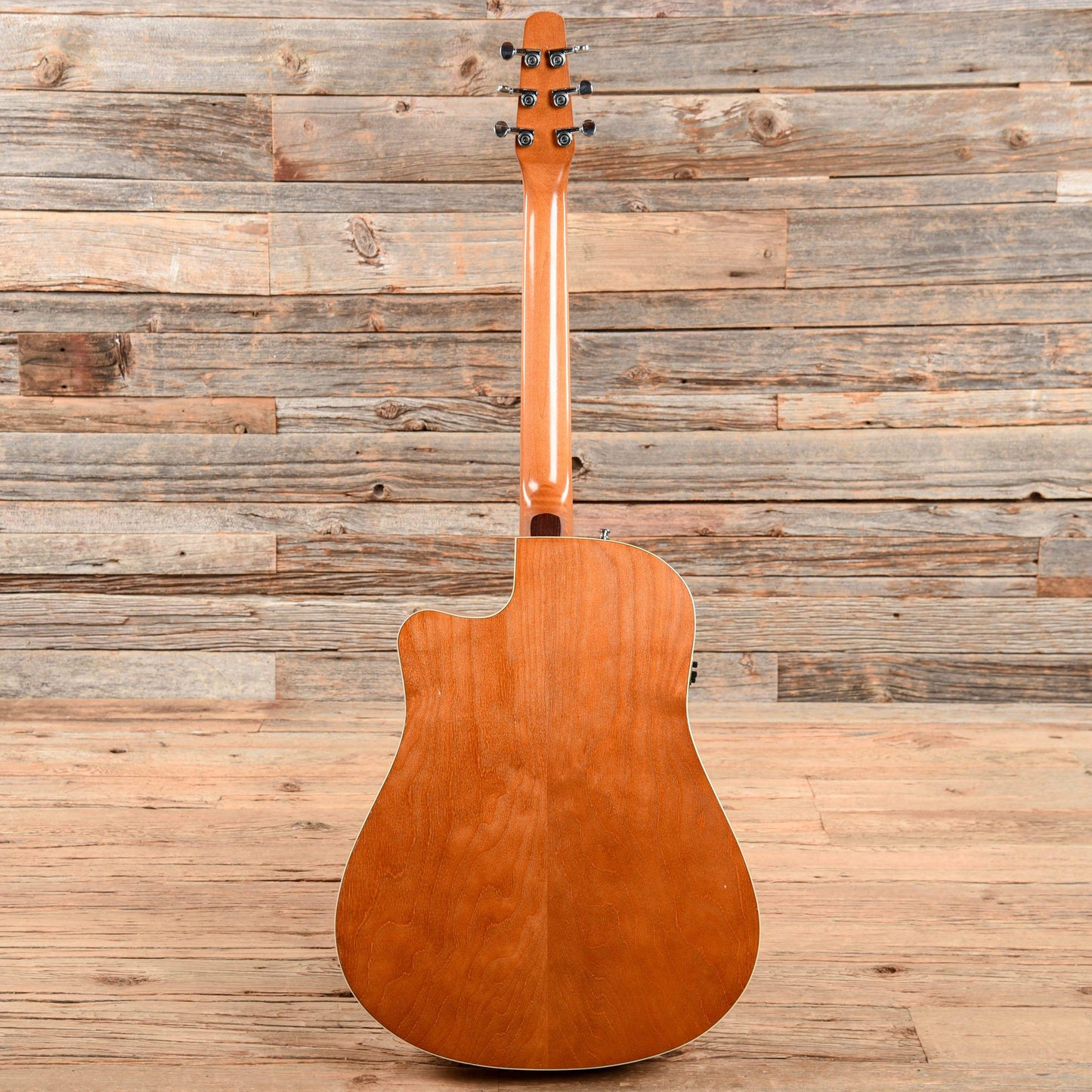 Seagull Entourage Rustic CW QIT Sunburst Acoustic Guitars / Dreadnought