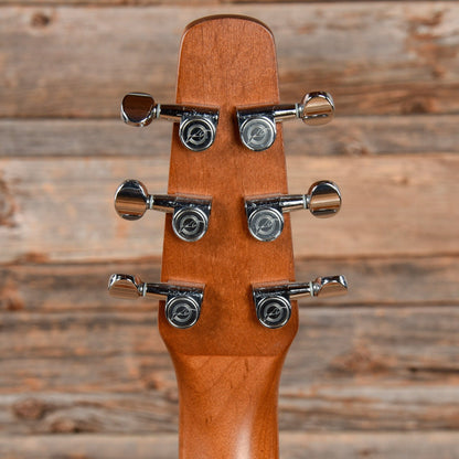 Seagull Entourage Rustic Sunburst Acoustic Guitars / Dreadnought