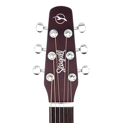 Seagull Entourage Solid Spruce/Wild Cherry Autumn Burst Acoustic Guitars / Dreadnought