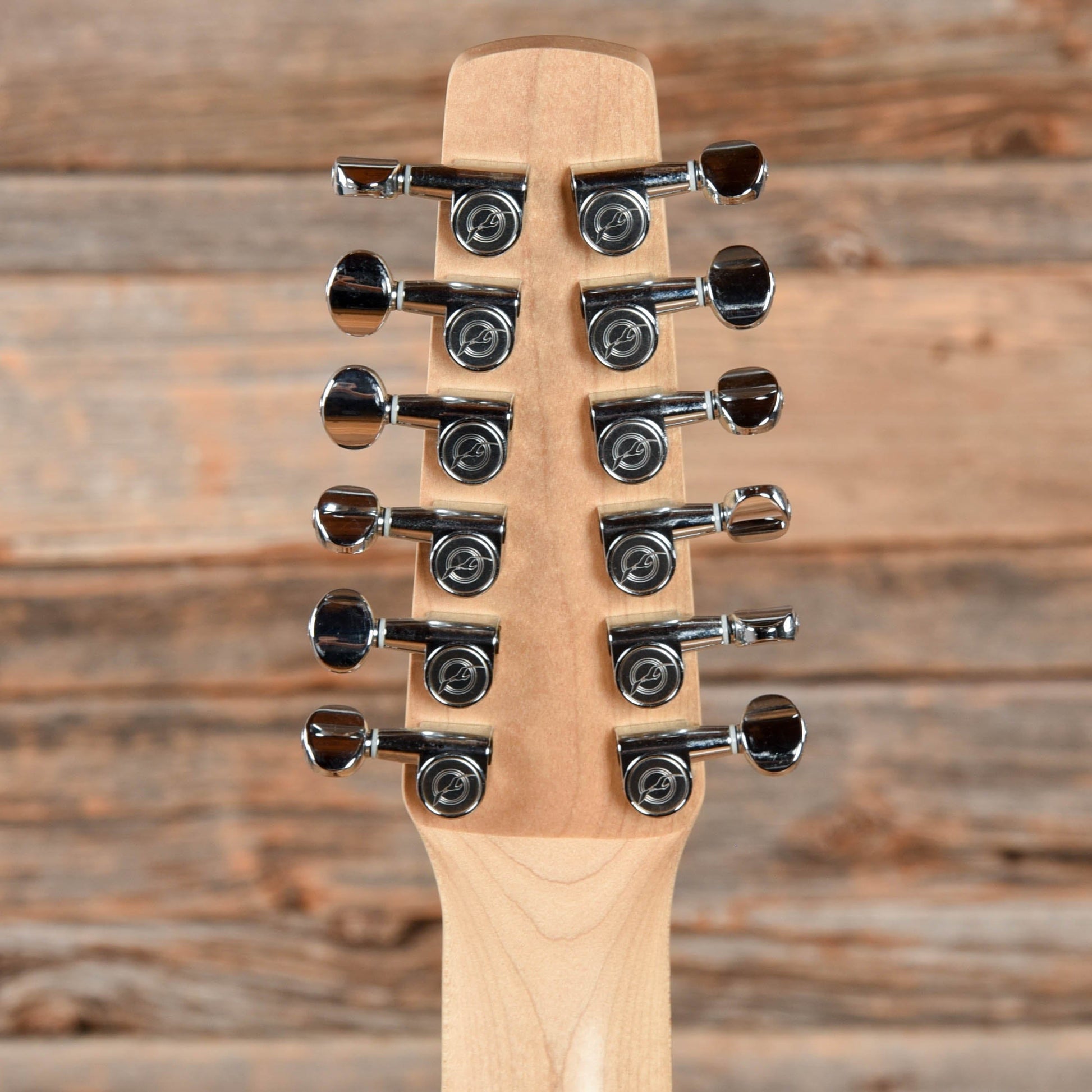 Seagull Walnut 12 Isyst Natural Acoustic Guitars / Dreadnought