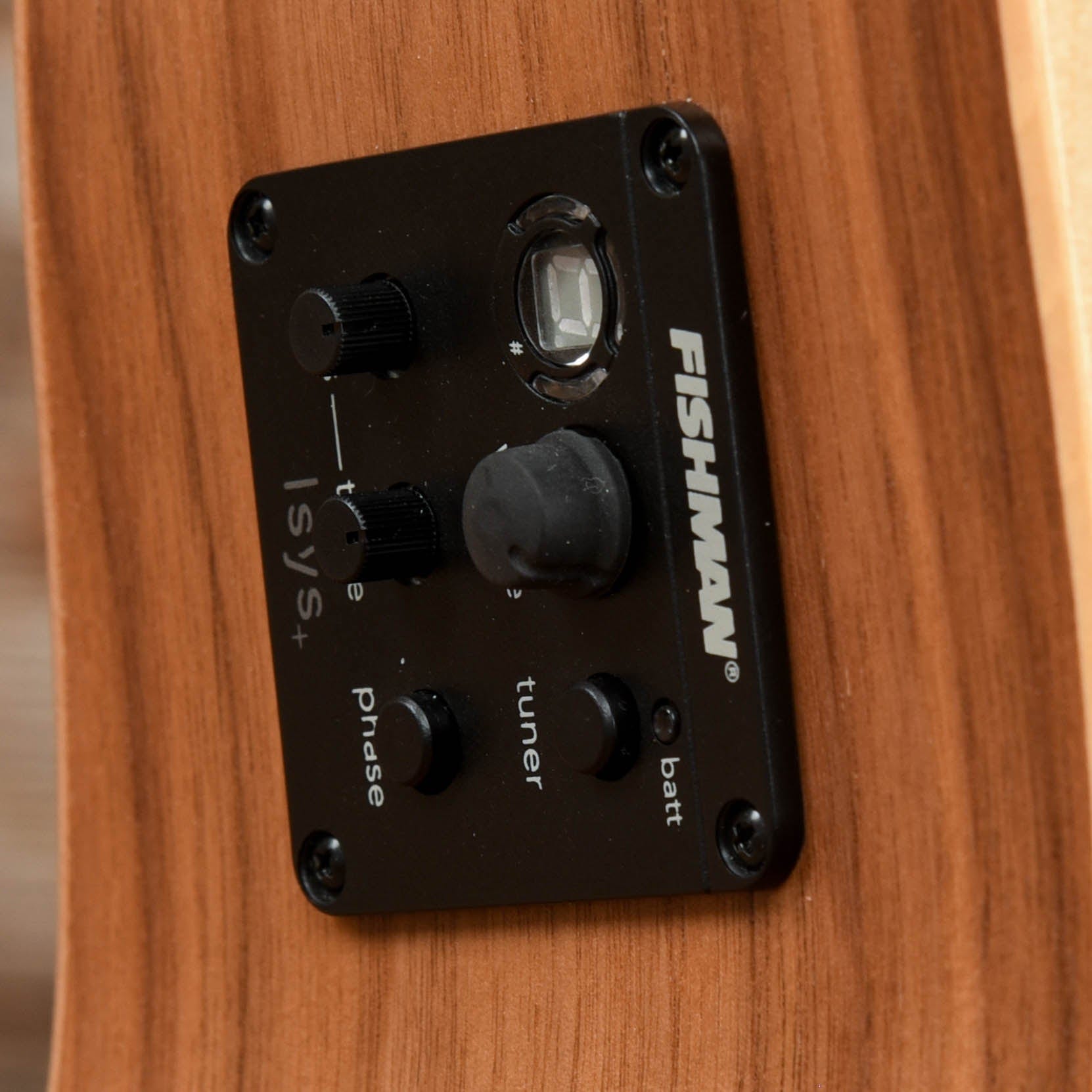 Seagull Walnut 12 Isyst Natural Acoustic Guitars / Dreadnought