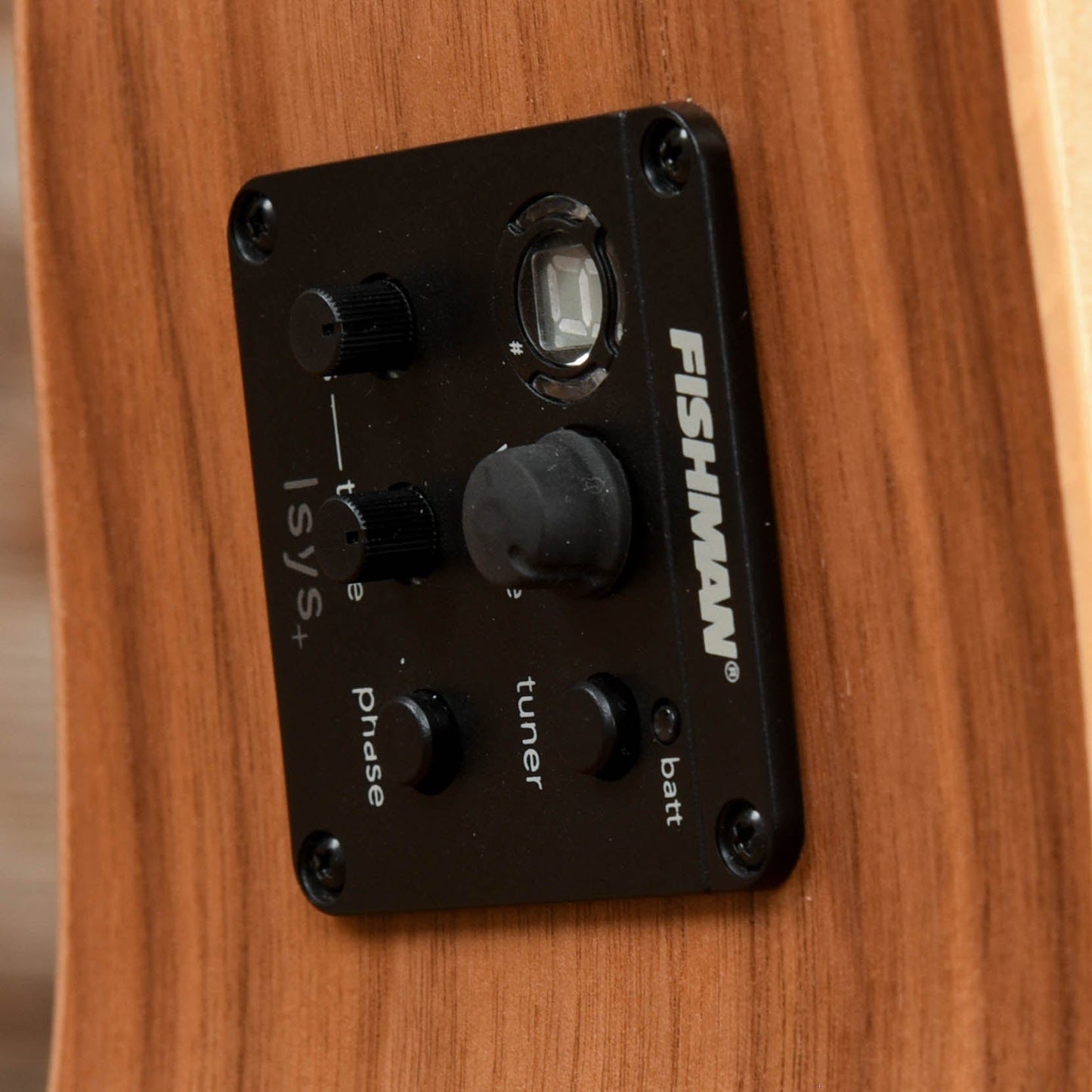 Seagull Walnut 12 Isyst Natural Acoustic Guitars / Dreadnought