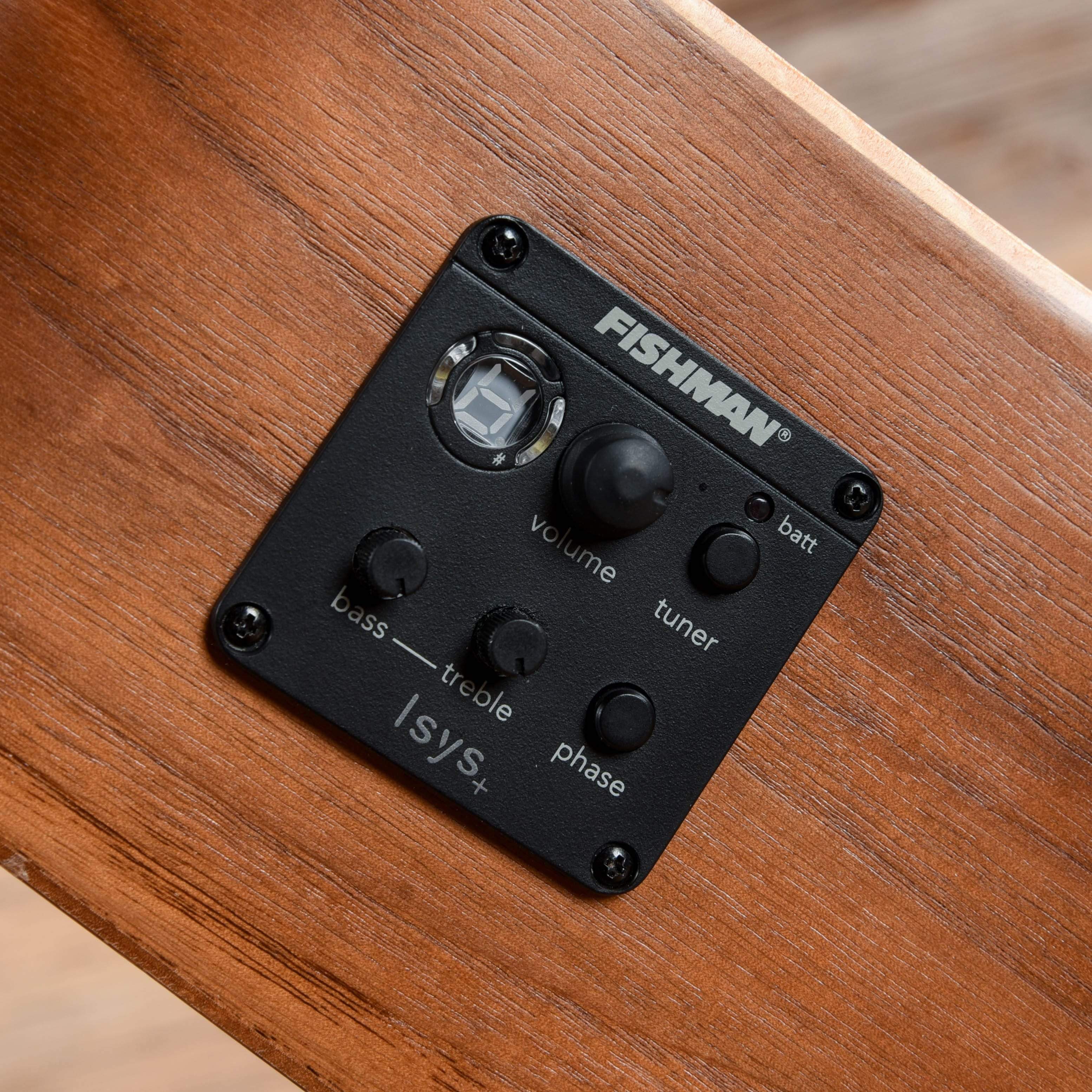 Seagull Walnut ISyst Natural Acoustic Guitars / Dreadnought