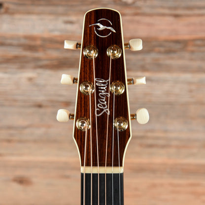 Seagull Artist Studio CH HG Element Sunburst Acoustic Guitars / OM and Auditorium