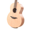 Sheeran by Lowden S02 Sitka Spruce/Santos Rosewood w/Top Bevel & LR Baggs Element VTC Acoustic Guitars / Parlor