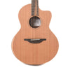 Sheeran by Lowden S03 Cutaway Cedar/Santos Rosewood w/Top Bevel & LR Baggs Element VTC Acoustic Guitars / Parlor