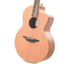 Sheeran by Lowden S03 Cutaway Cedar/Santos Rosewood w/Top Bevel & LR Baggs Element VTC Acoustic Guitars / Parlor