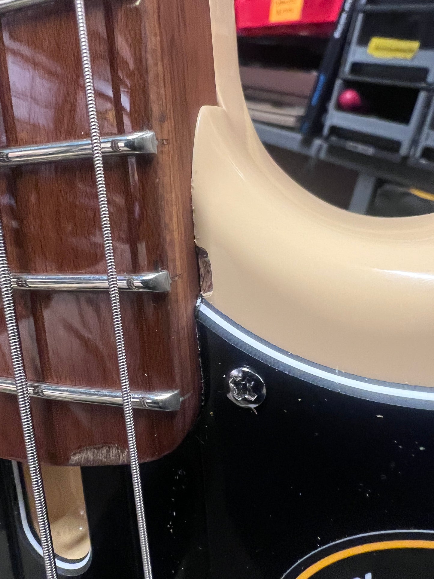 Sire Marcus Miller D5 Alder 4-String Vintage White Bass Guitars / 4-String