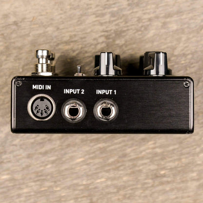 Source Audio One Series Nemesis Delay Effects and Pedals / Delay