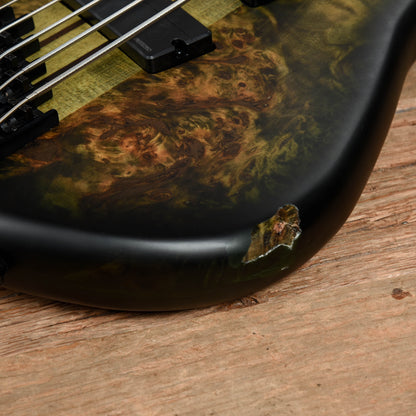 Spector NS Dimension 5 Haunted Moss Matte 2021 LEFTY Bass Guitars / 5-String or More