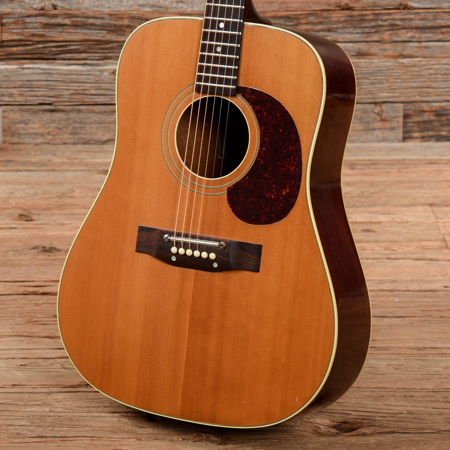 Standel E-6N Natural 1960s Acoustic Guitars / Dreadnought