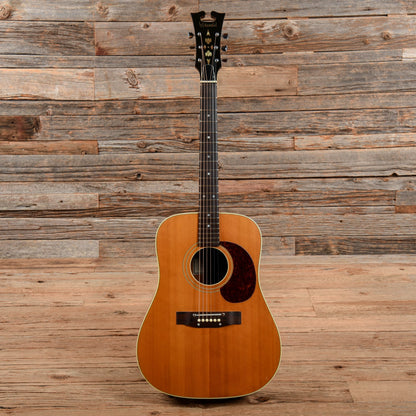 Standel E-6N Natural 1960s Acoustic Guitars / Dreadnought