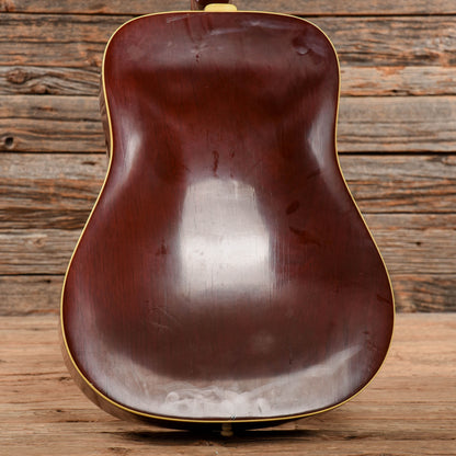 Standel E-6N Natural 1960s Acoustic Guitars / Dreadnought