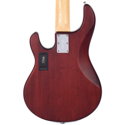 Sterling by Music Man S.U.B. Series StingRay5 5-String Walnut Satin w/Guitar Stand, Tuner and 10' Cable Bundle Bass Guitars / 5-String or More