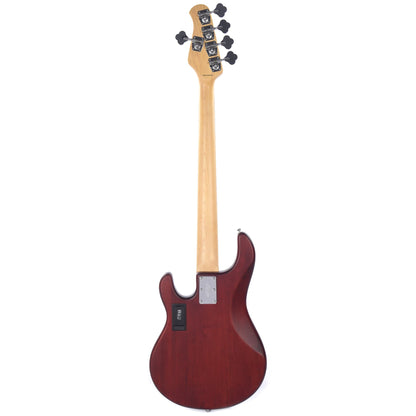 Sterling by Music Man S.U.B. Series StingRay5 5-String Walnut Satin w/Guitar Stand, Tuner and 10' Cable Bundle Bass Guitars / 5-String or More