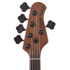 Sterling by Music Man StingRay RAY35 HH Poplar Burl Amber Bass Guitars / 5-String or More