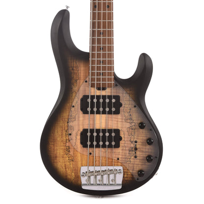 Sterling by Music Man StingRay5 HH Spalted Maple Top Natural Burst Satin Bass Guitars / 5-String or More