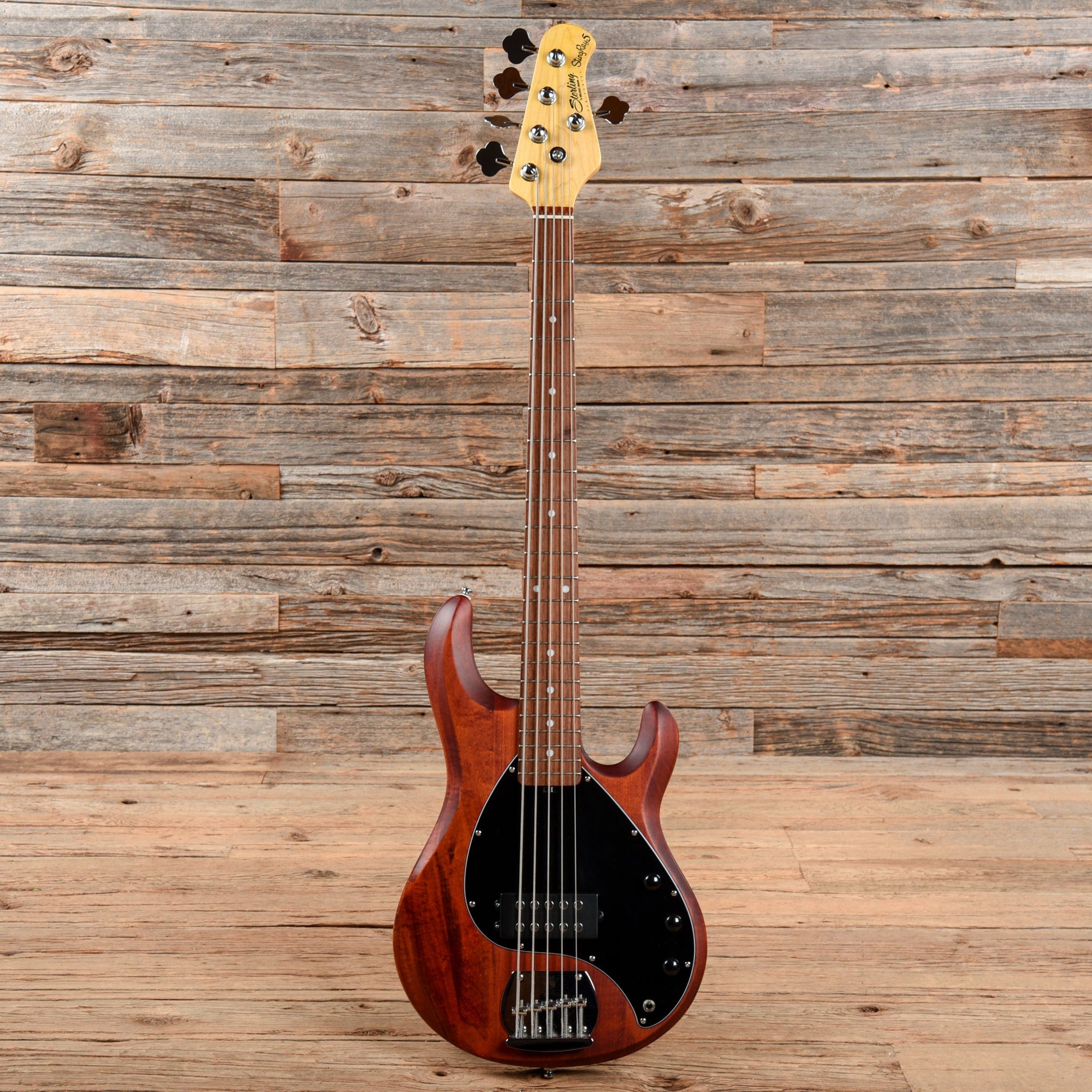 Sterling by Music Man SUB StingRay 5 Walnut Satin Bass Guitars / 5-String or More