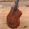 Steve Ezzo Custom Short Scale Fretless Bass Redwood Top Bass Guitars / Short Scale