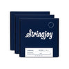 Stringjoy 4-String Electric Bass Light Gauge Long Scale 45-100 3 Pack Bundle Accessories / Strings / Bass Strings