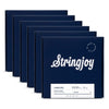Stringjoy 4-String Electric Bass Medium Gauge Long Scale 50-105 6 Pack Bundle Accessories / Strings / Bass Strings