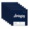 Stringjoy 5-String Electric Bass Light Gauge Long Scale 45-125 6 Pack Bundle Accessories / Strings / Bass Strings