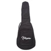 Takamine FXC/NY/Classic Acoustic Gig Bag Accessories / Cases and Gig Bags / Guitar Gig Bags