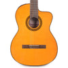 Takamine GC1CE Classical Acoustic-Electric Natural Acoustic Guitars / Classical