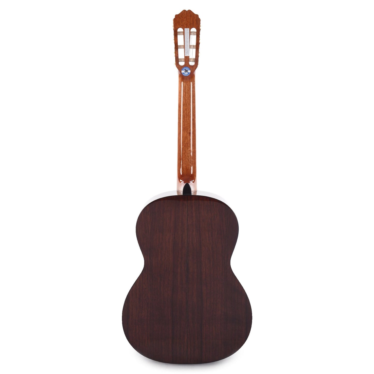 Takamine GC5 Classical Natural Acoustic Guitars / Classical
