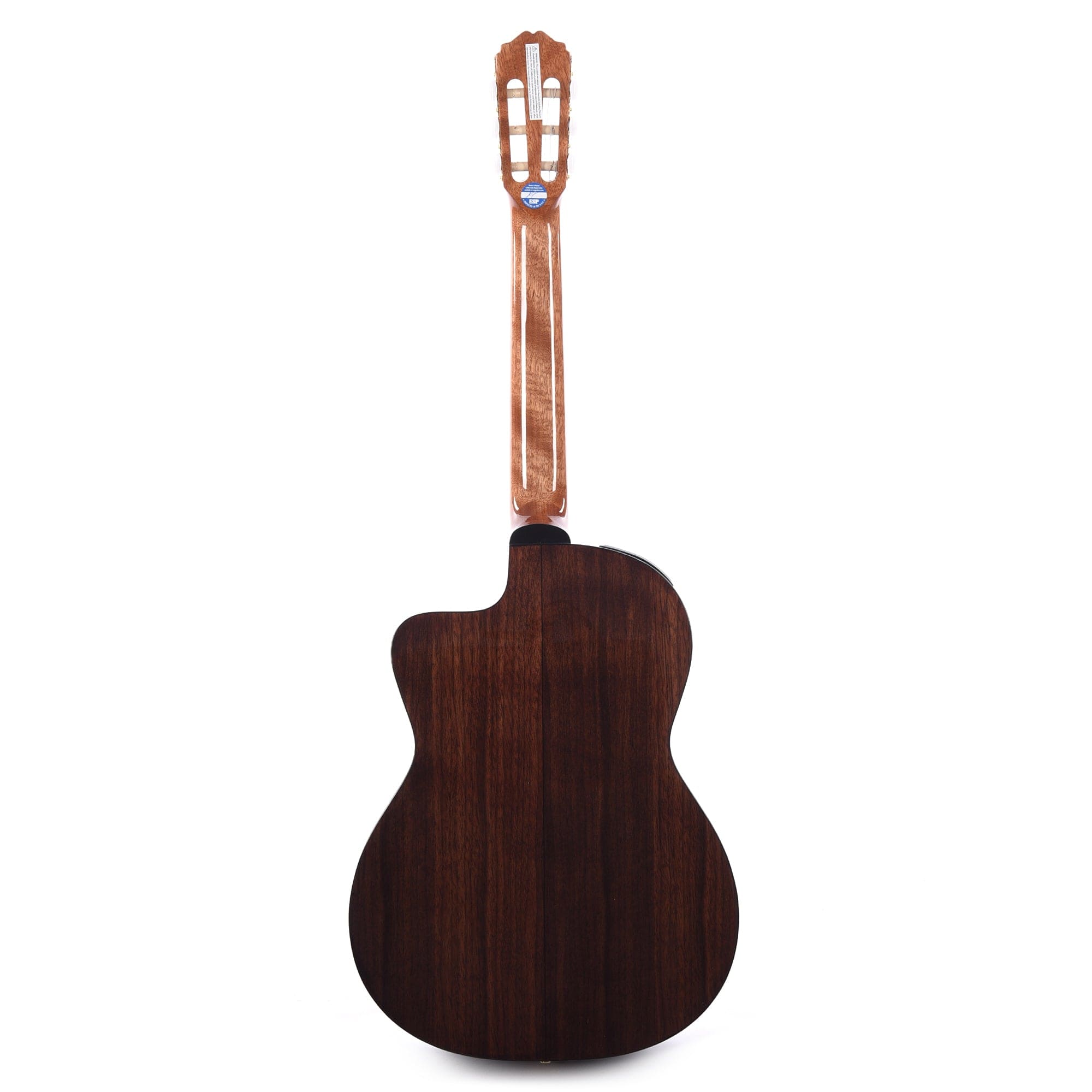 Takamine GC5CE Classical Acoustic-Electric Natural Acoustic Guitars / Classical