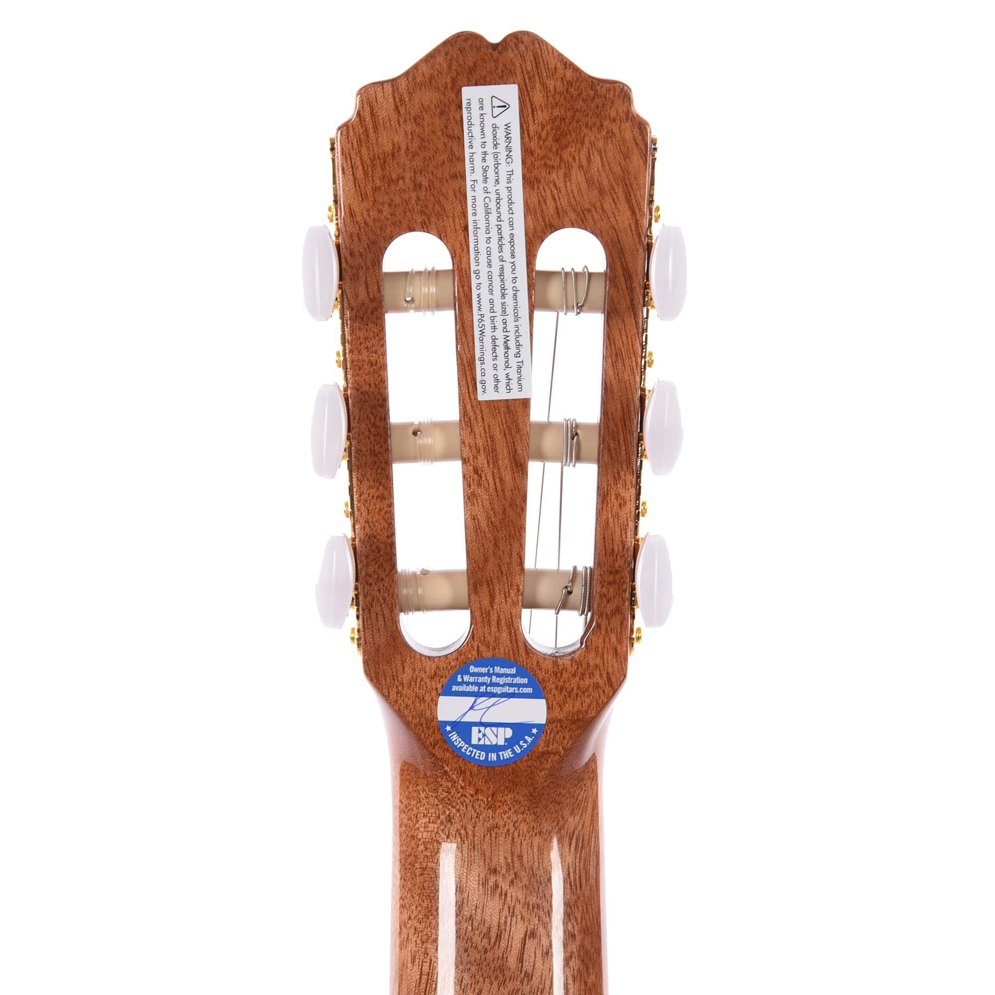 Takamine GC5CE Classical Acoustic-Electric Natural Acoustic Guitars / Classical