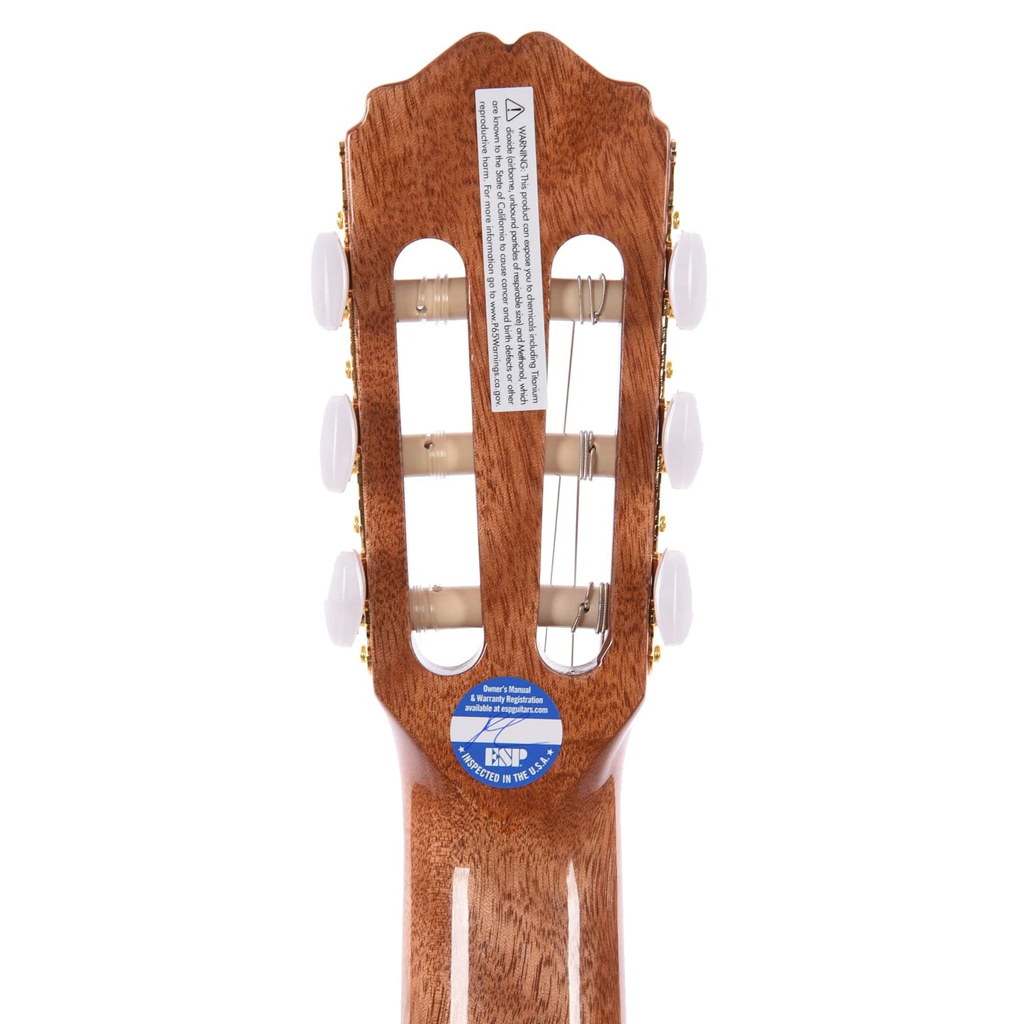Takamine GC5CE Classical Acoustic-Electric Natural Acoustic Guitars / Classical