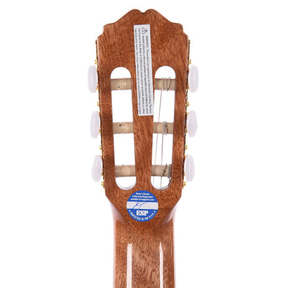 Takamine GC5CE Classical Acoustic-Electric Natural Acoustic Guitars / Classical