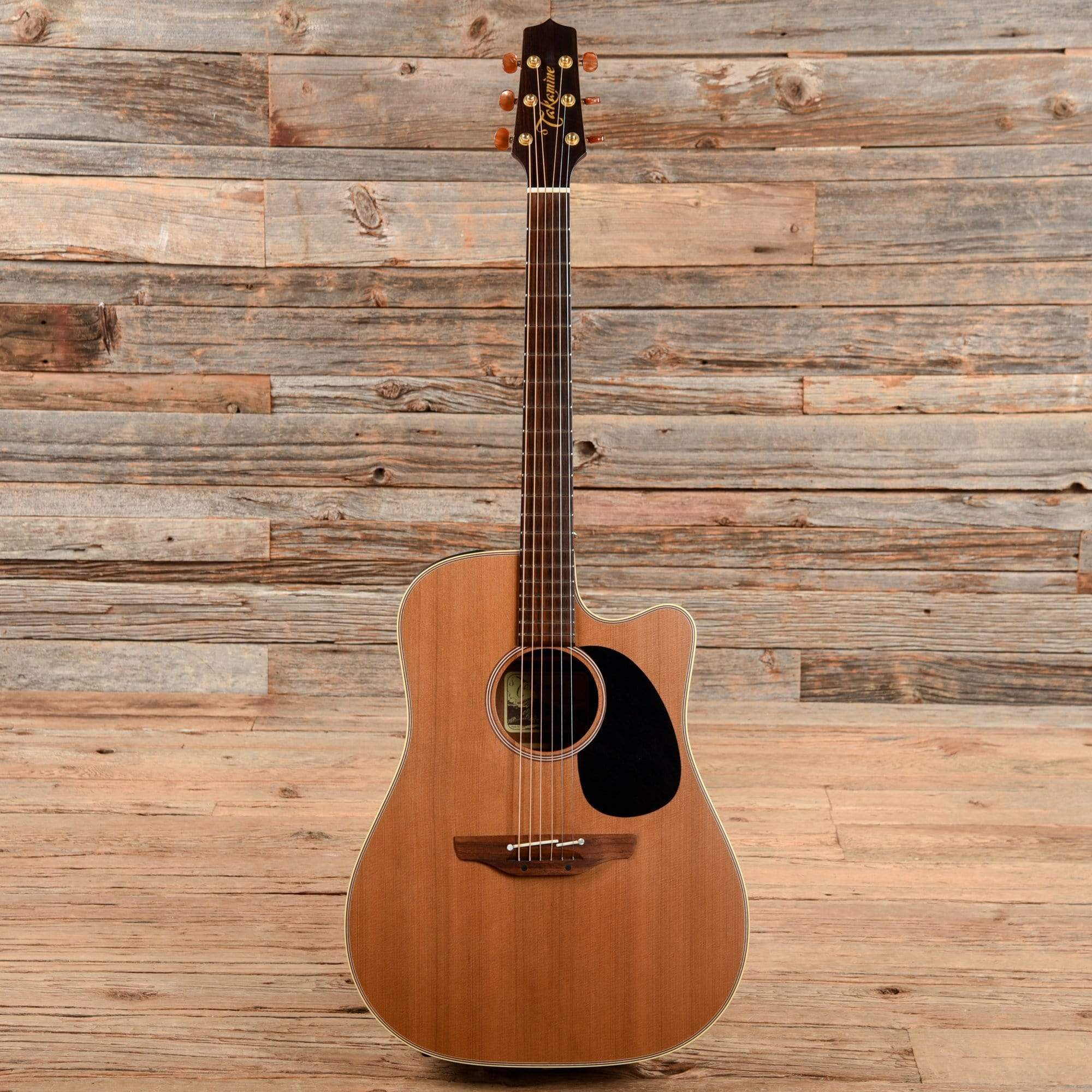 Takamine EAN10CX Natural 2001 Acoustic Guitars / Dreadnought