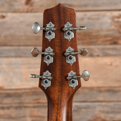 Takamine EF360S-TT Thermal Top Natural 2020 Acoustic Guitars / Dreadnought