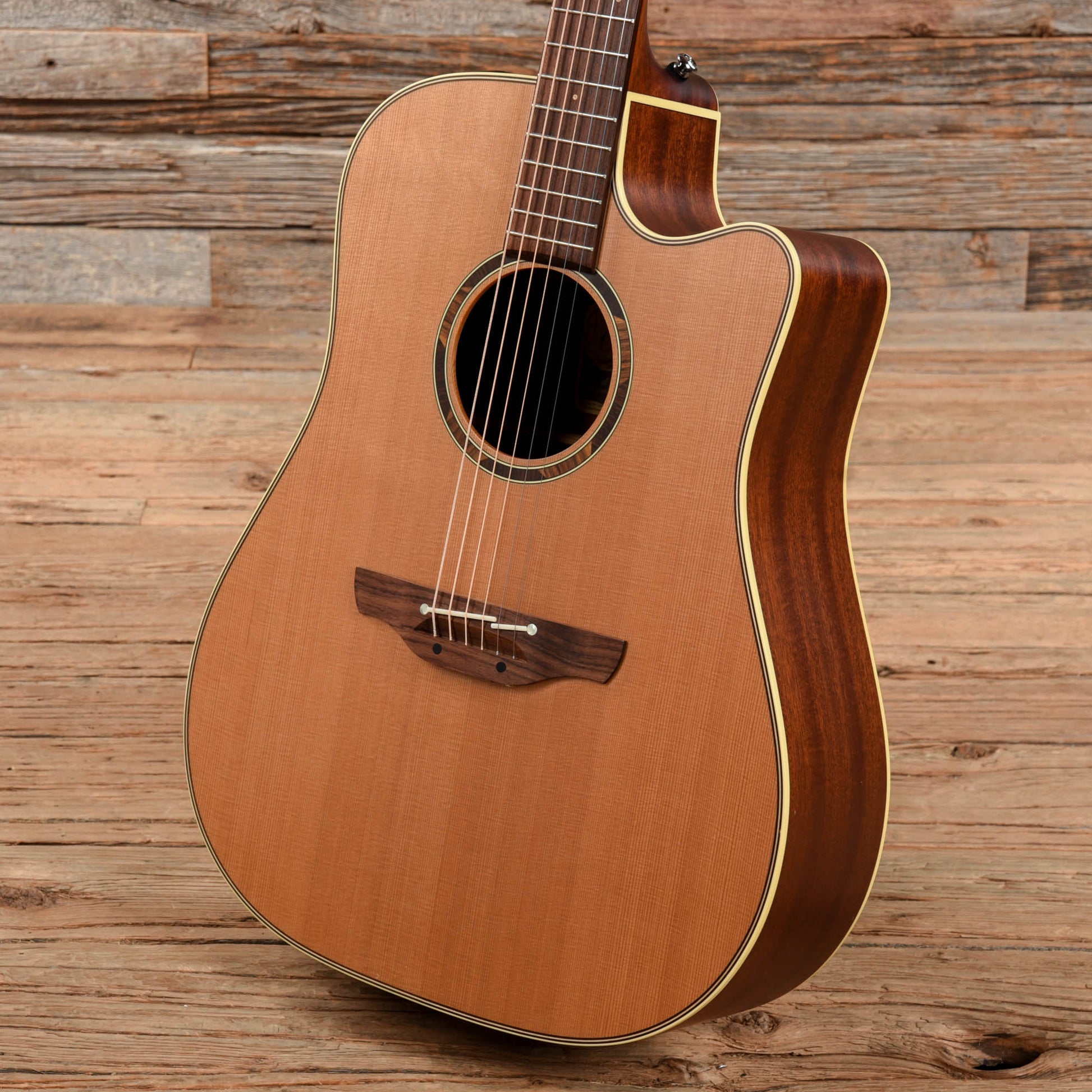 Takamine ETN10C Natural Acoustic Guitars / Dreadnought