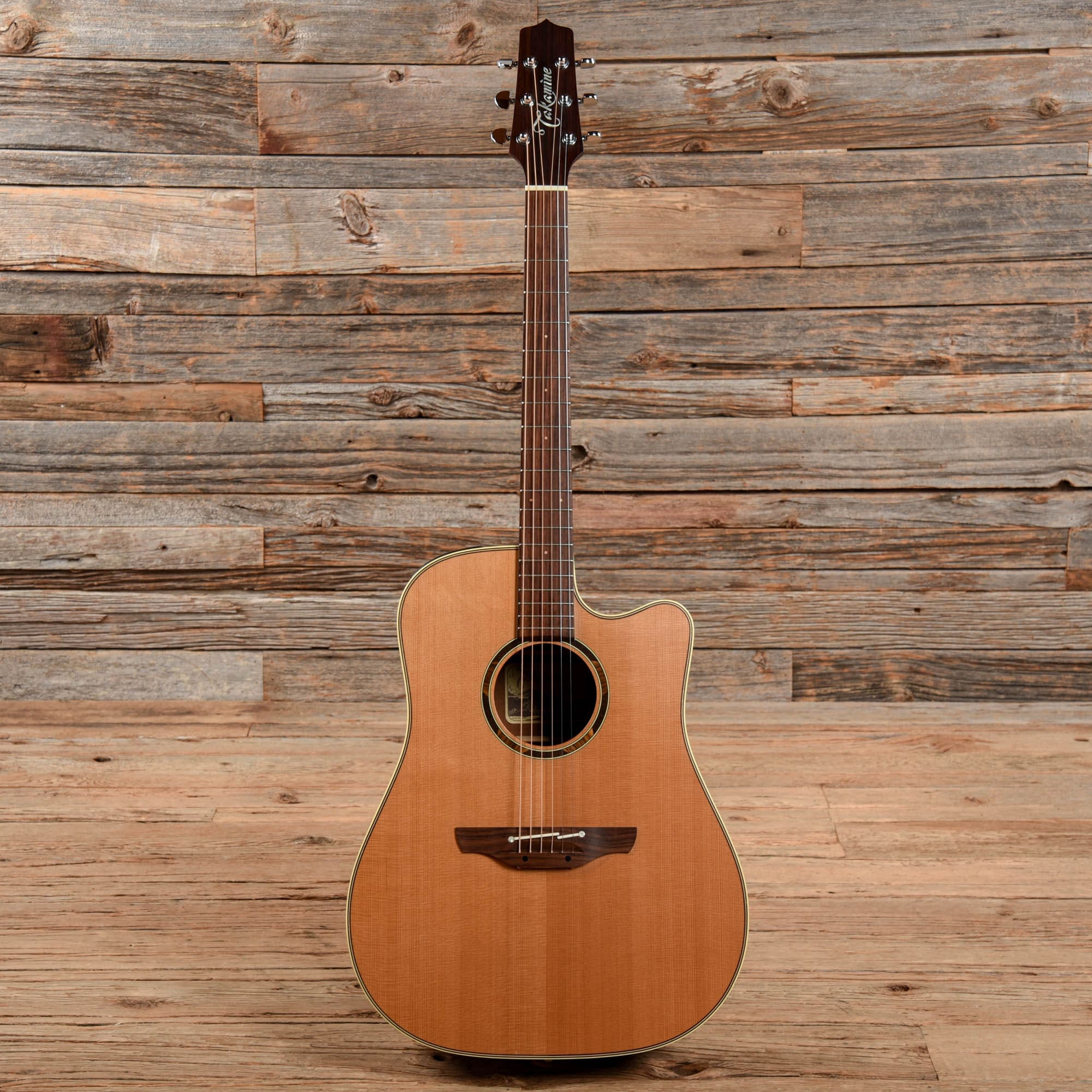 Takamine ETN10C Natural Acoustic Guitars / Dreadnought