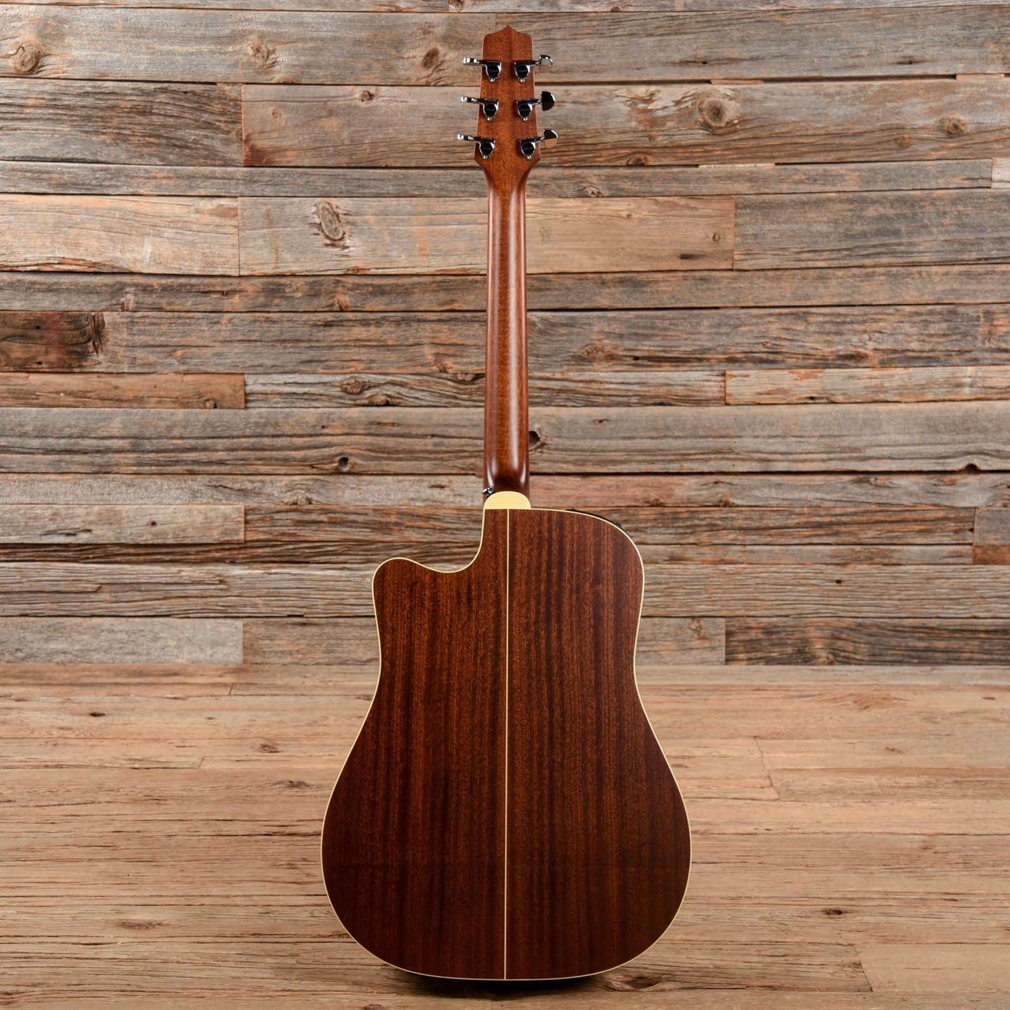 Takamine ETN10C Natural Acoustic Guitars / Dreadnought