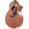 Takamine GD11MCE Dreadnought Acoustic-Electric Natural Acoustic Guitars / Dreadnought
